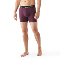 Men's Everyday Merino Boxer Brief Dusty Teal - ver - 10