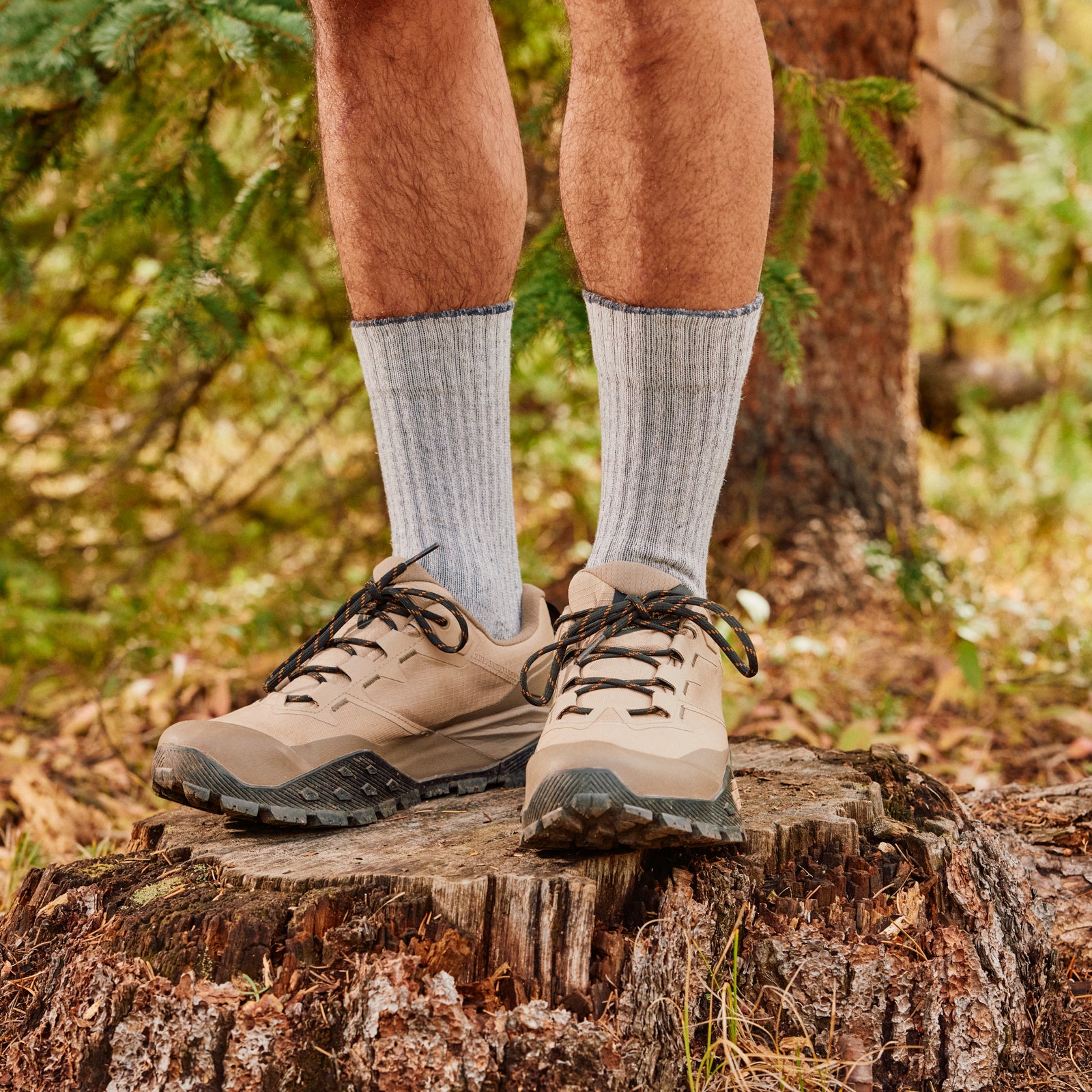 Hike Classic Edition Second Cut Crew Socks Light Gray - ver - 2