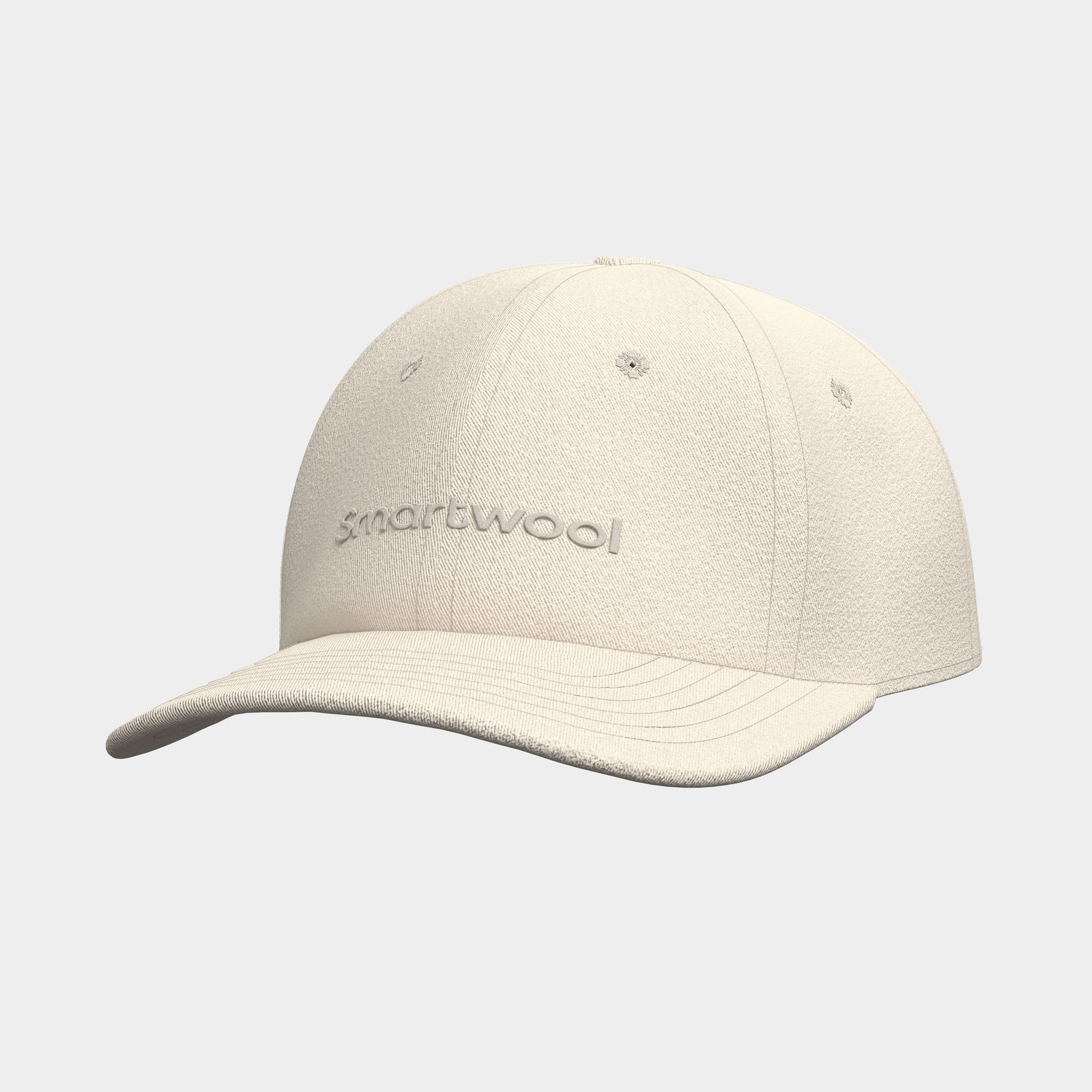 Smartwool Logo Ball Cap Black - ver - 4