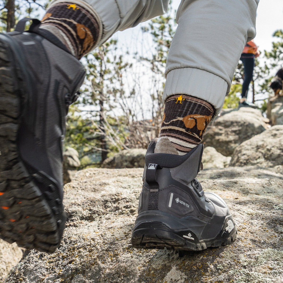 Hike Bear Stripe Mid Crew Socks Ash - 3