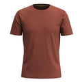 Men's Merino Short Sleeve Tee Sable Brown Mountain - ver - 19